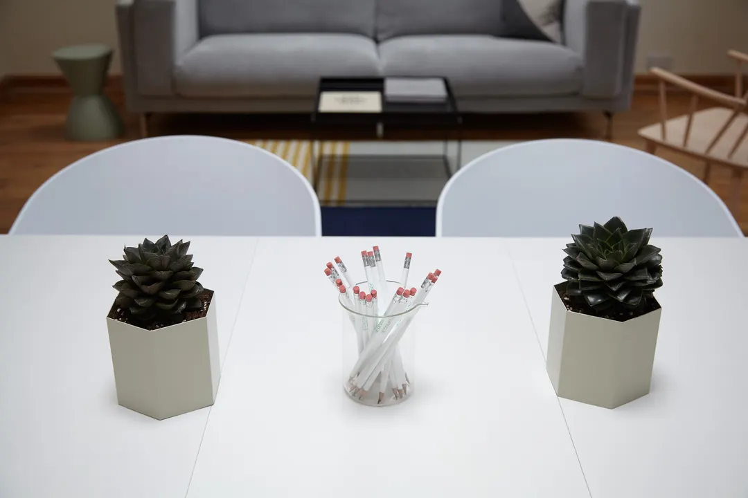 Succulents and pencils on a white table